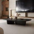 IWASAKI Japanese Coffee Table - Image 5